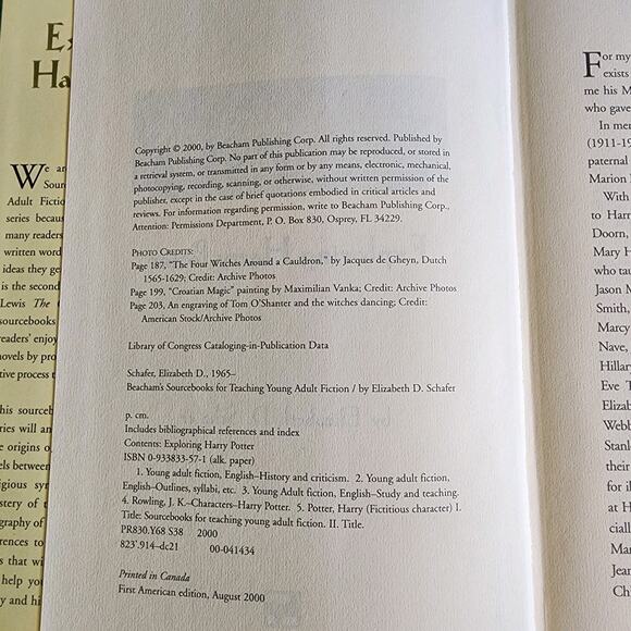 Exploring Harry Potter Beacham's Sourcebook YA Fiction Elizabeth D Schafer - Picture 6 of 8